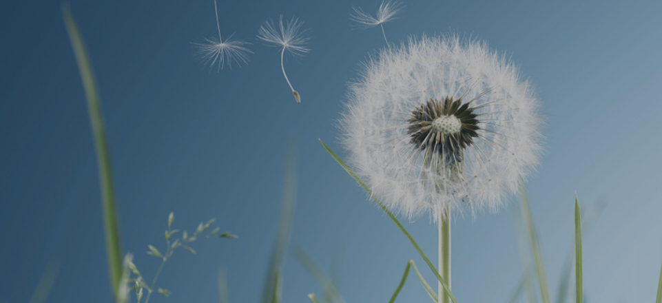 bbin·宝盈游戏(中国集团)官方网站首页